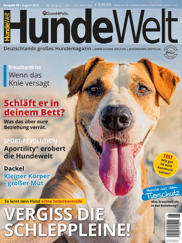HundeWelt 08.2025 (Print, Einzelheft)