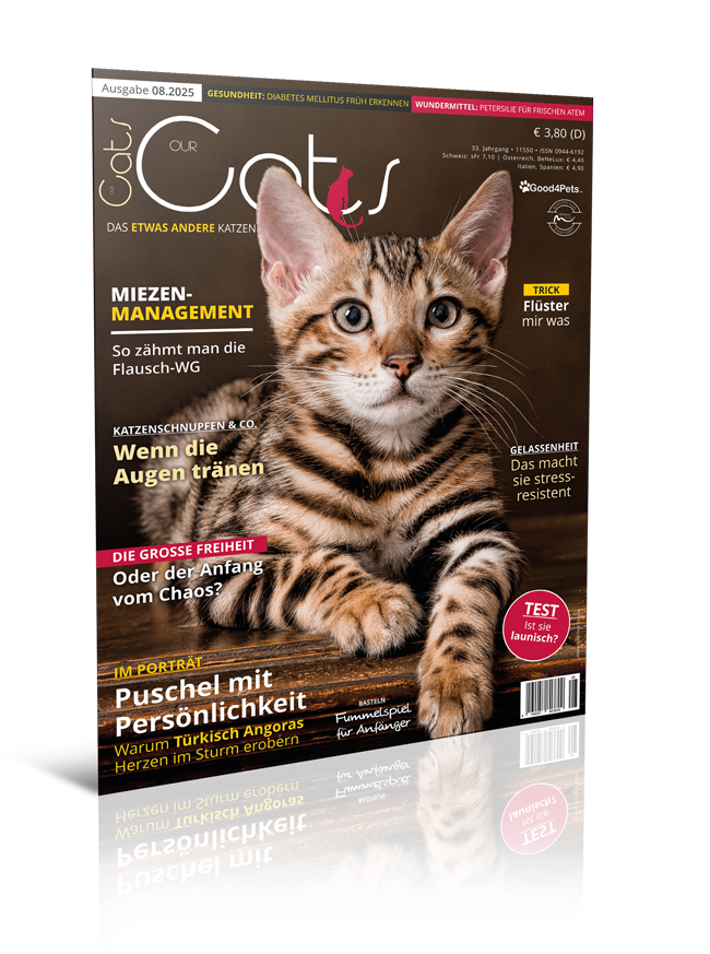 Our Cats 08.2025 (Digital, Einzelheft)