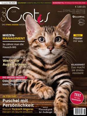 Our Cats 08.2025 (Print, Einzelheft)