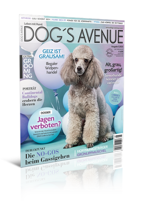 Dog´s Avenue 5.2025 (Digital, Einzelheft)