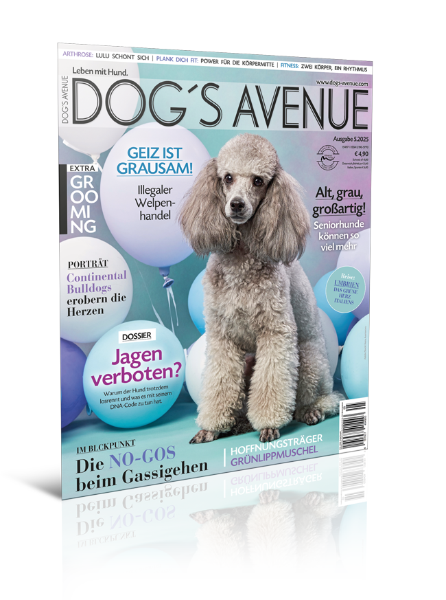 Dog´s Avenue 5.2025 (Print, Einzelheft)