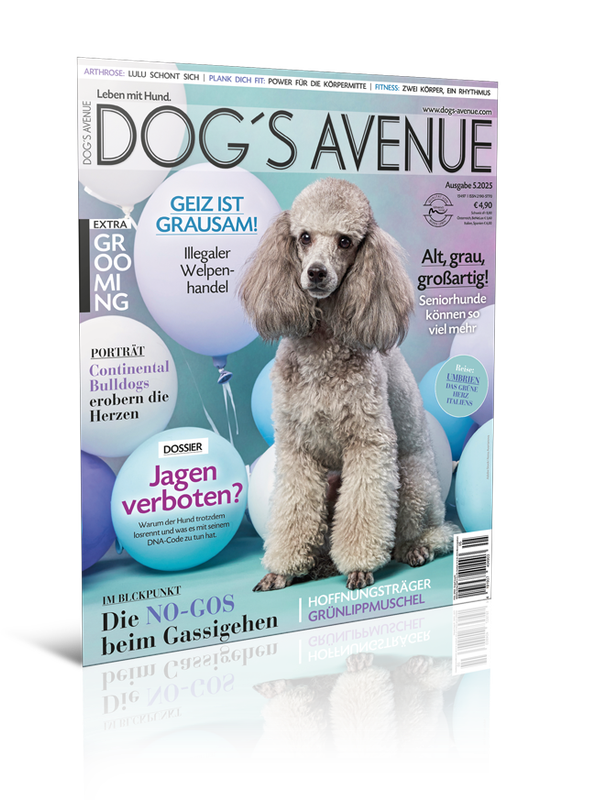 Dog´s Avenue 5.2025 (Print, Einzelheft)