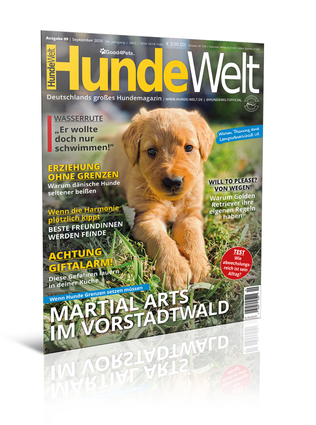 HundeWelt 09.2025 (Print, Einzelheft)