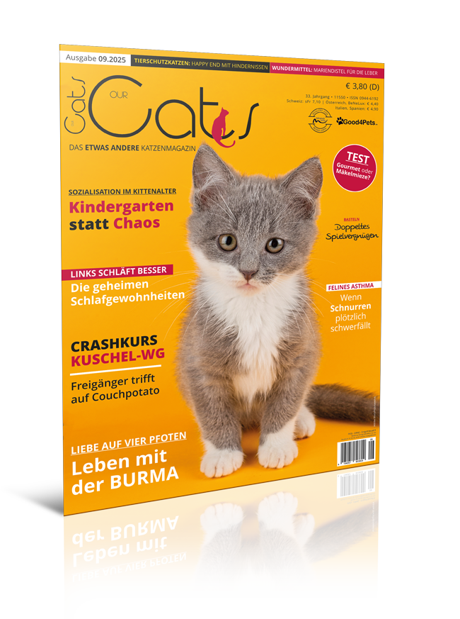 Our Cats 09.2025 (Print, Einzelheft)