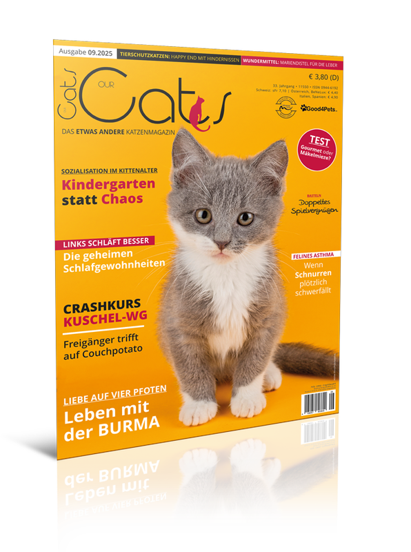 Our Cats 09.2025 (Print, Einzelheft)