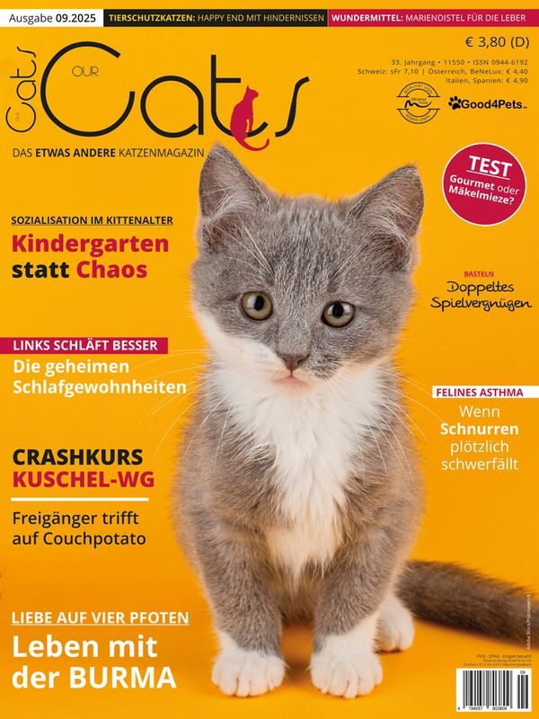 Our Cats 09.2025 (Print, Einzelheft)