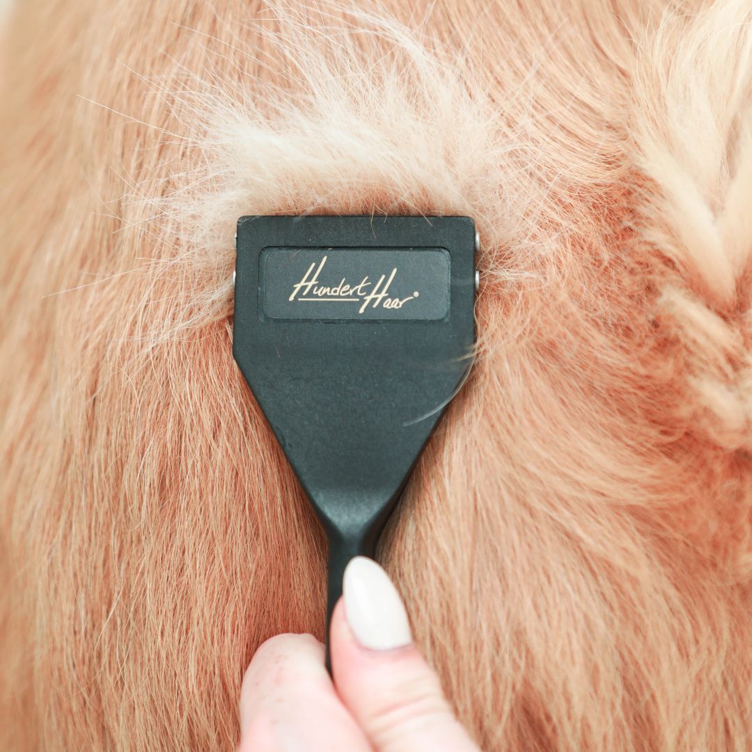 HundertHaar® Trimmstriegel für Hunde und Katzen