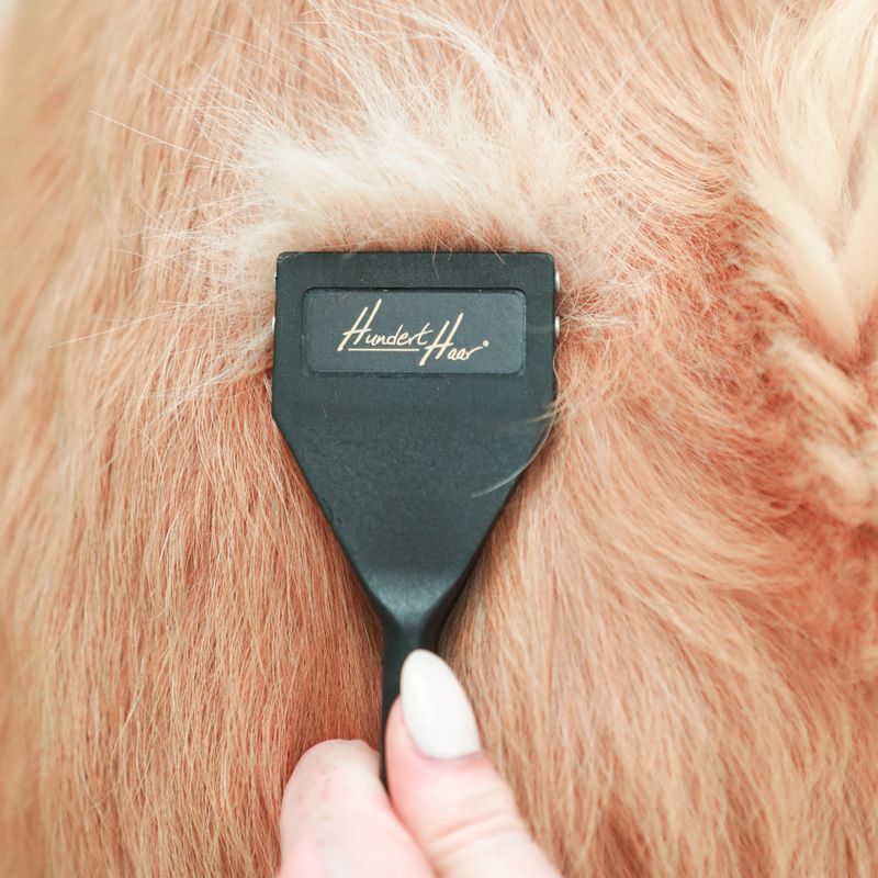 HundertHaar® Trimmstriegel für Hunde und Katzen