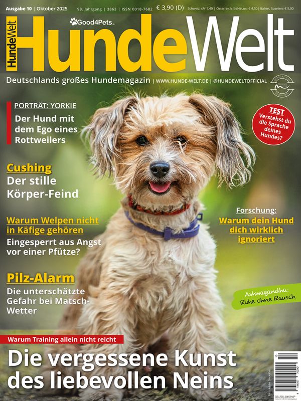 HundeWelt 10.2025 (Digital, Einzelheft)