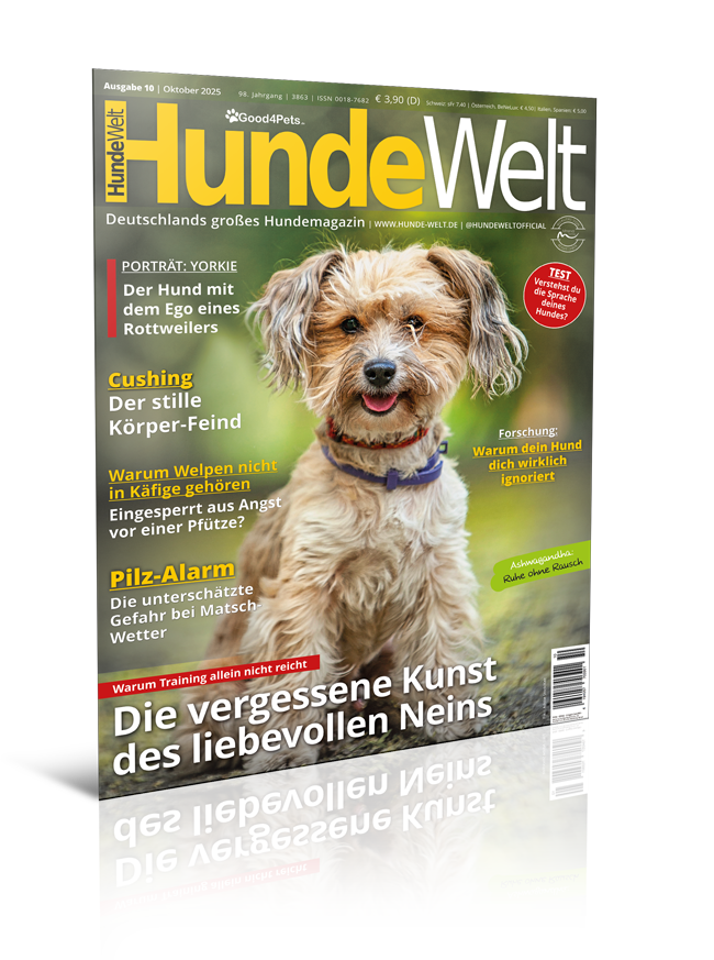 HundeWelt 10.2025 (Digital, Einzelheft)