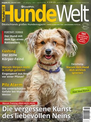 HundeWelt 10.2025 (Print, Einzelheft)