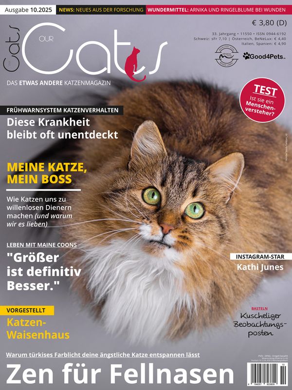 Our Cats 10.2025 (Print, Einzelheft)