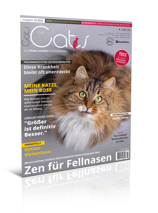 Our Cats 10.2025 (Print, Einzelheft)