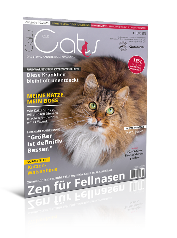 Our Cats 10.2025 (Print, Einzelheft)