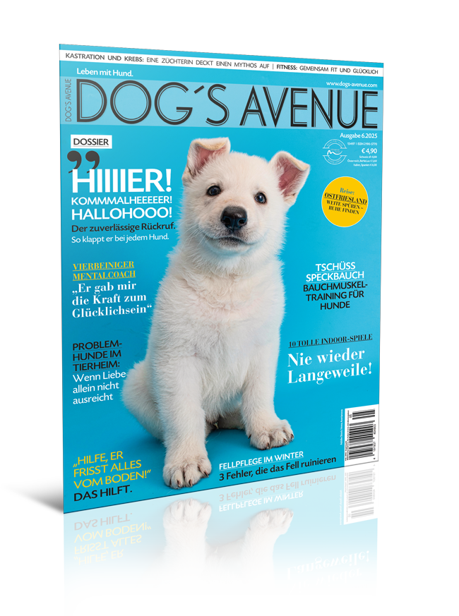 Dog´s Avenue 6.2025 (Print, Einzelheft)
