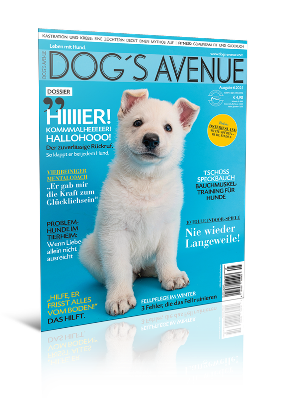 Dog´s Avenue 6.2025 (Print, Einzelheft)