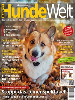 HundeWelt 11.2025 (Digital, Einzelheft)