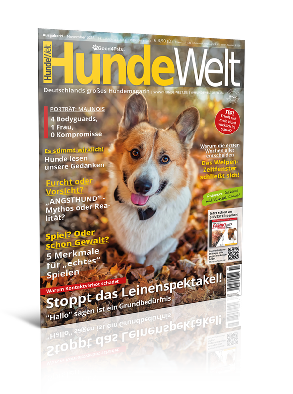 HundeWelt 11.2025 (Digital, Einzelheft) HundeWelt 11.2025 (Digital, Einzelheft)