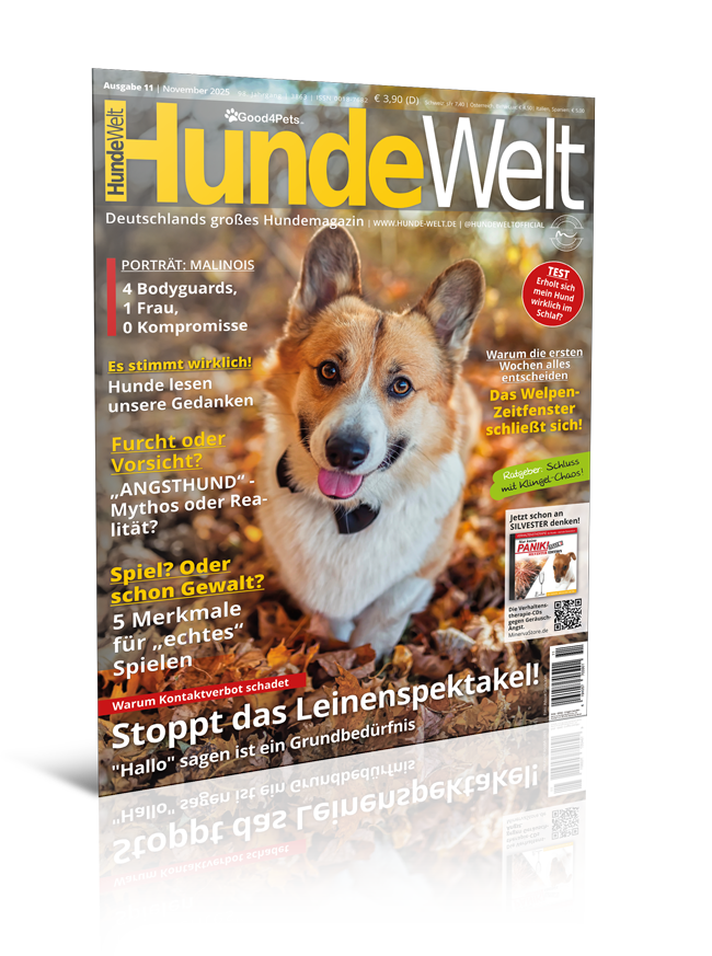 HundeWelt 11.2025 (Digital, Einzelheft)