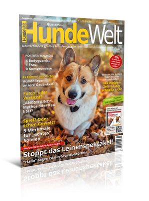 HundeWelt 11.2025 (Digital, Einzelheft)