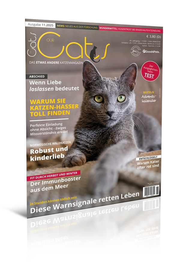 Our Cats 11.2025 (Print, Einzelheft)