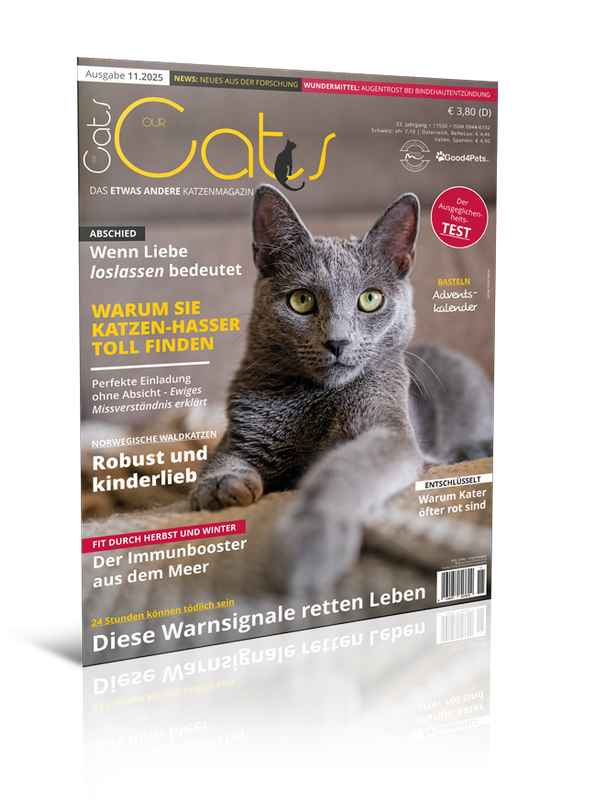 Our Cats 11.2025 (Print, Einzelheft)