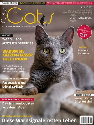 Our Cats 11.2025 (Print, Einzelheft)