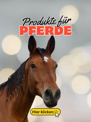 Rund um PFERDE