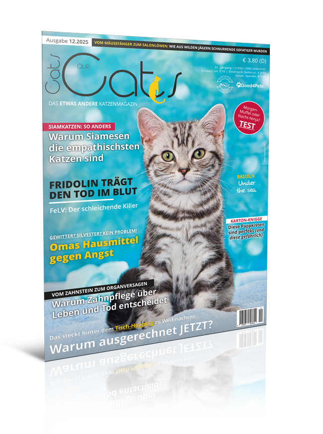Our Cats 12.2025 (Digital, Einzelheft) Our Cats 12.2025 (Digital, Einzelheft)