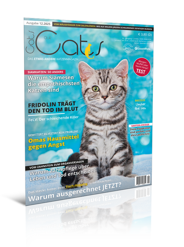 Our Cats 12.2025 (Digital, Einzelheft)