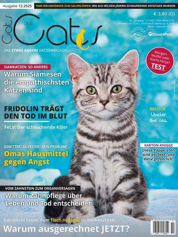 Our Cats 12.2025 (Print, Einzelheft)