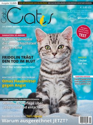 Our Cats 12.2025 (Print, Einzelheft)