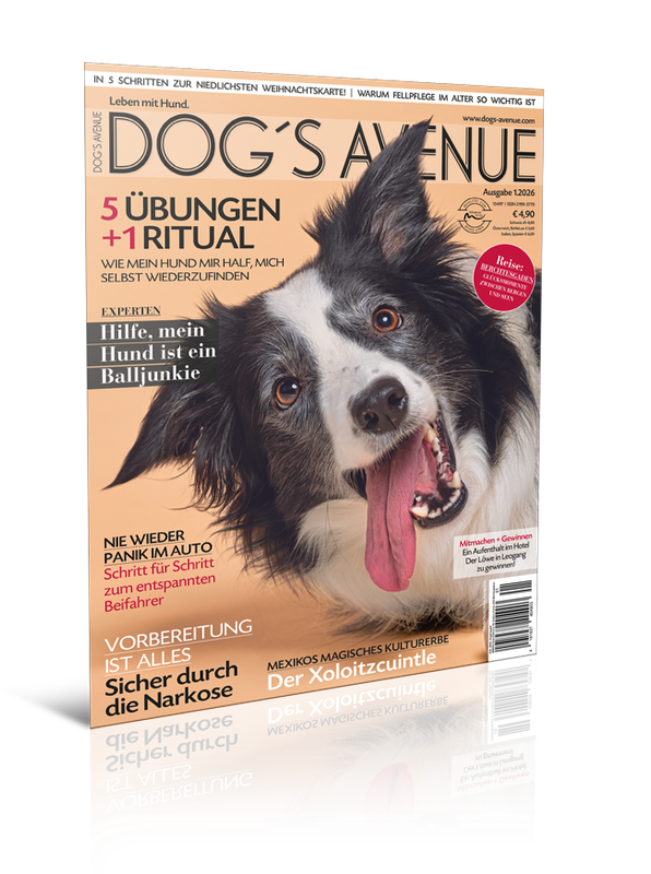 Dog´s Avenue 1.2026 (Print, Einzelheft)