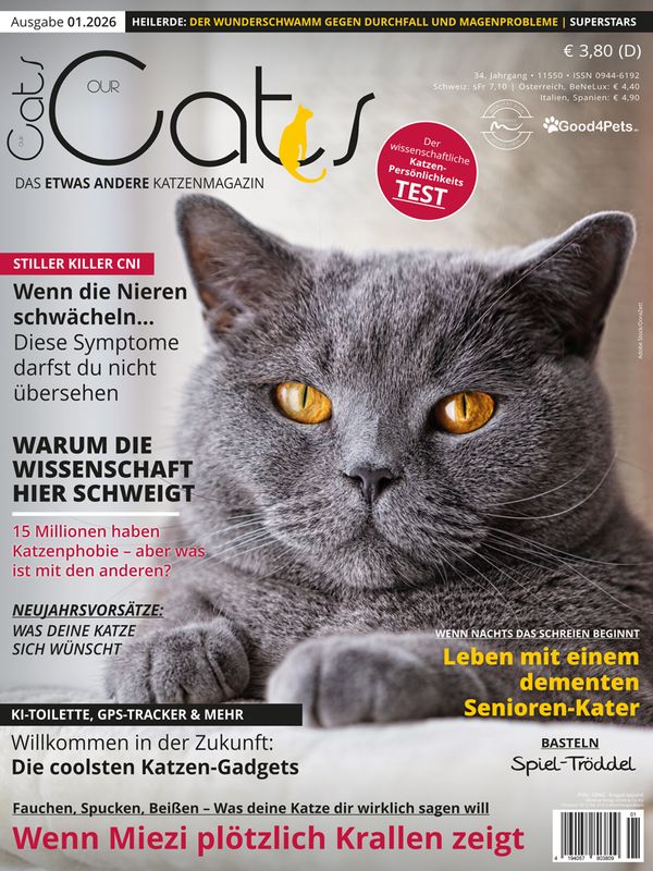 Our Cats 01.2026 (Print, Einzelheft)