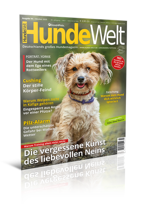 HundeWelt 10.2025 (Print, Einzelheft) HundeWelt 10.2025 (Print, Einzelheft)