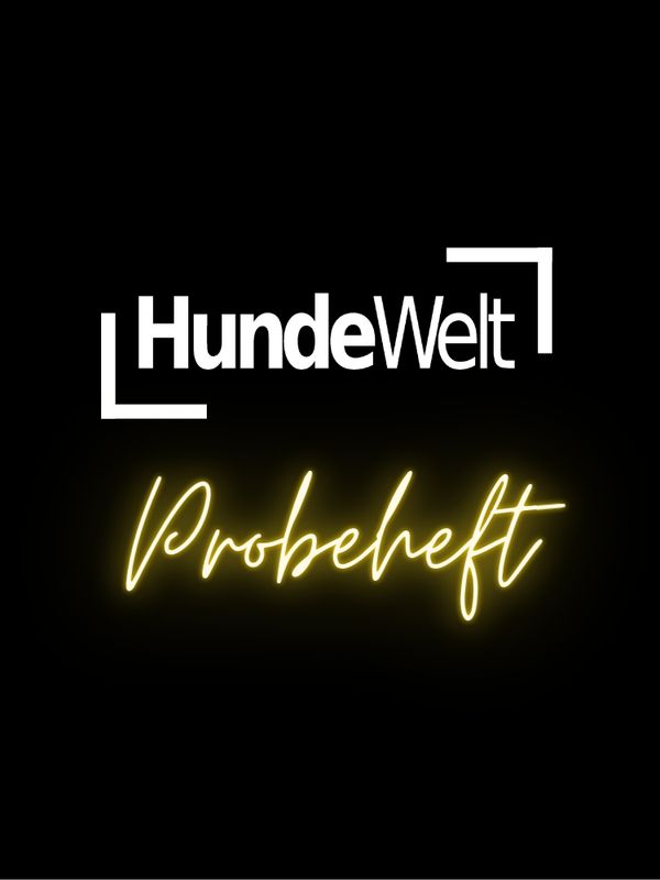 Probeheft HundeWelt (Print, Einzelheft)