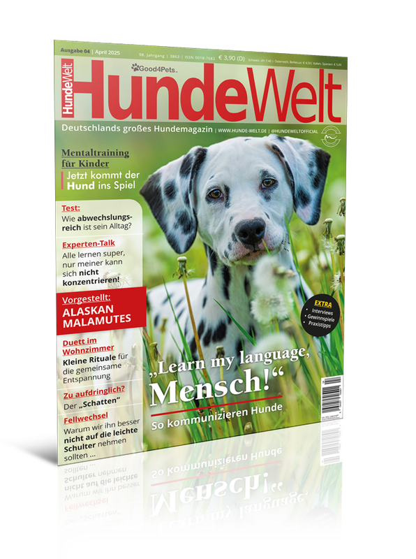 HundeWelt 04.2025 (Digital, Einzelheft)