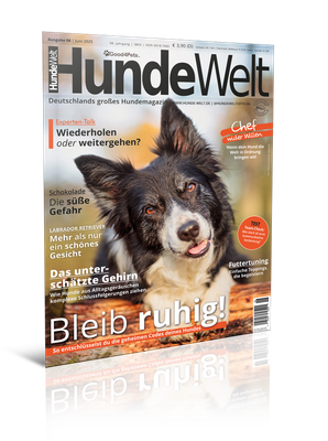HundeWelt 06.2025 (Print, Einzelheft)