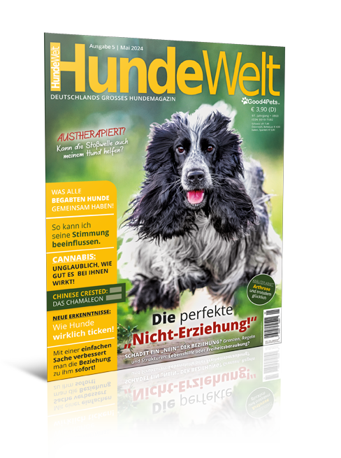 HundeWelt 05.2024 (Digital, Einzelheft)