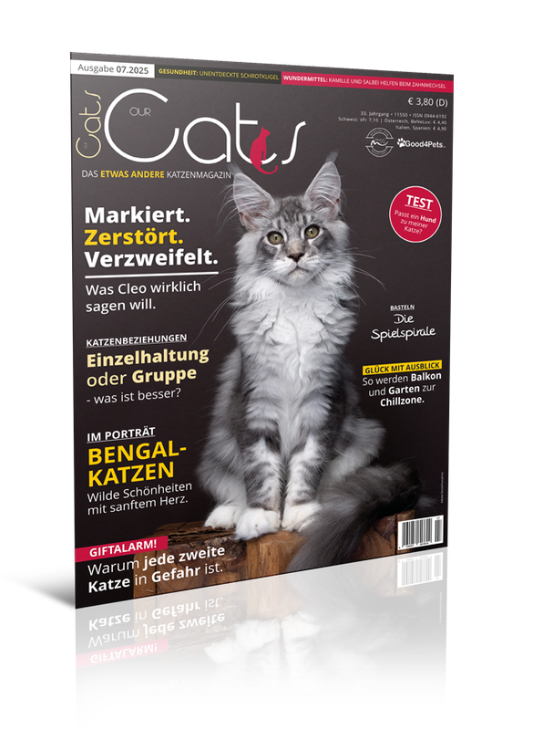 Our Cats 07.2025 (Print, Einzelheft) Our Cats 07.2025 (Print, Einzelheft)