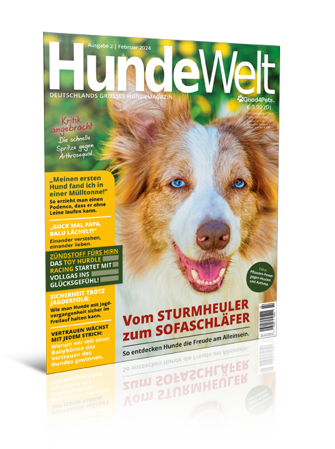 HundeWelt 02.2024 (Digital, Einzelheft)