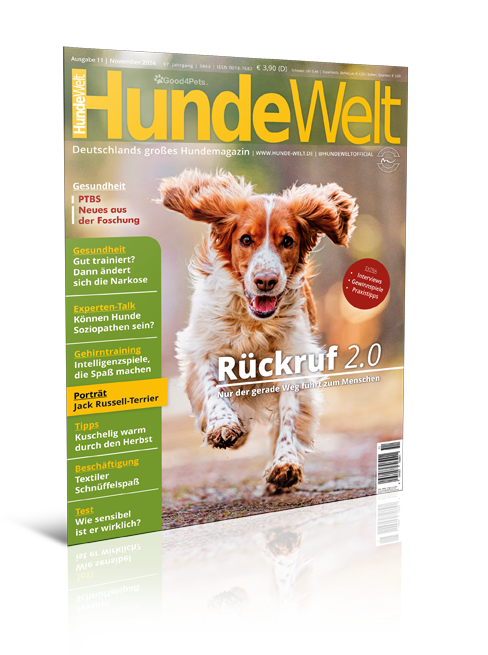 HundeWelt 11.2024 (Digital, Einzelheft)