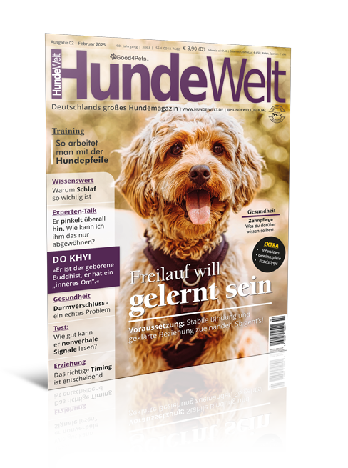 HundeWelt 02.2025 (Print, Einzelheft)