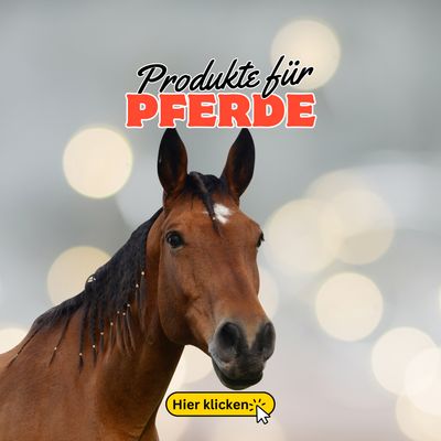 Rund um PFERDE
