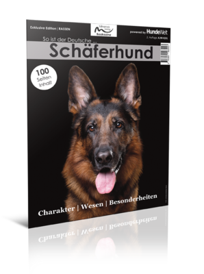 Sonderhefte/Bookazines