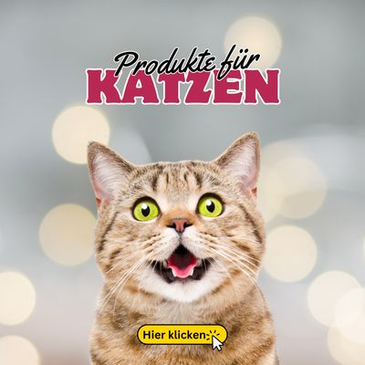 Rund um KATZEN