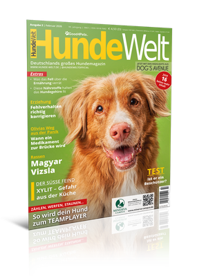 HundeWelt