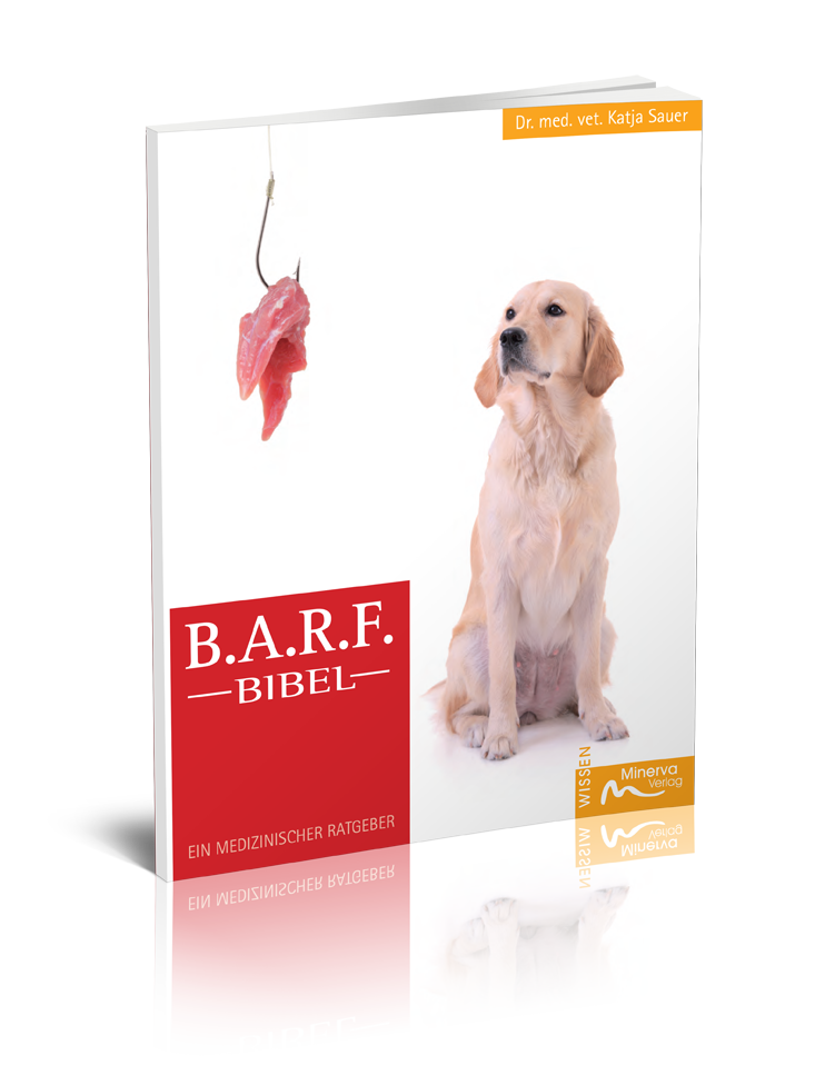 B.A.R.F.-Bibel (Print, Buch)