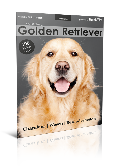 Golden Retriever (Print, Einzelheft)