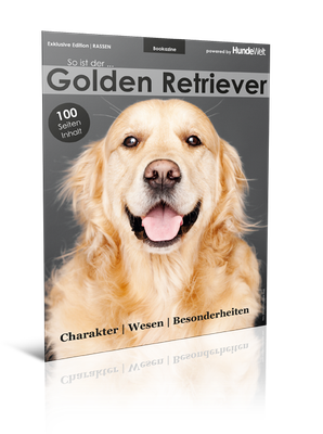 Golden Retriever (Print, Einzelheft) Golden Retriever (Print, Einzelheft)